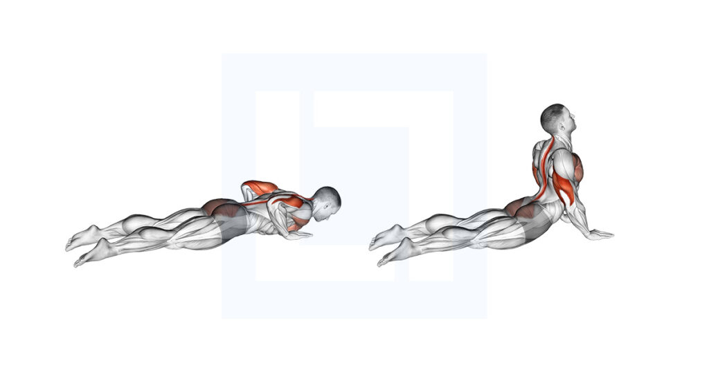 Kneeling Back Rotation Stretch - Guide, Benefits, and Form