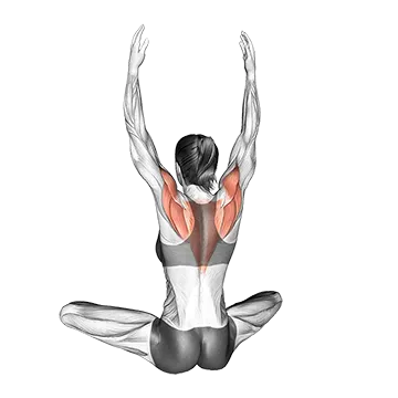 Seated Back Squeeze
