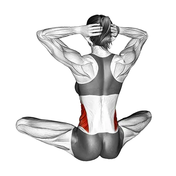 Seated Back Twist