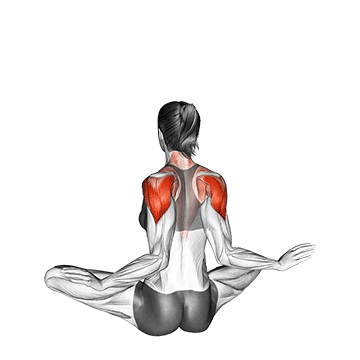 Best Stability Ball Workouts Seated Ballerina