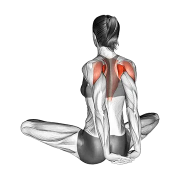 Seated Behind Back Raise