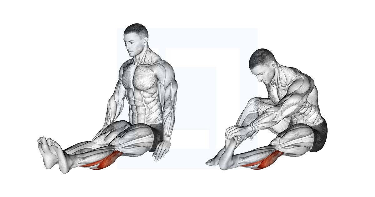How To Stretch The Soleus Calf Muscle