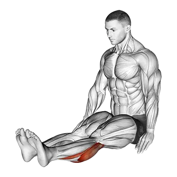 How To Fix Tight Calves Seated Calf Stretch