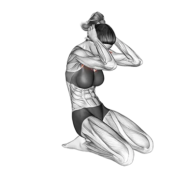 Seated Chest Clam
