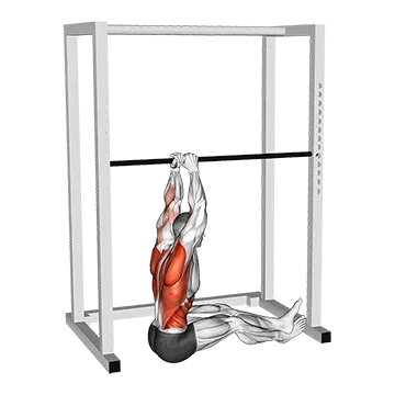 Seated Commando Pull Up