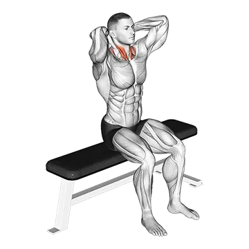 Seated Flexion and Extension Neck