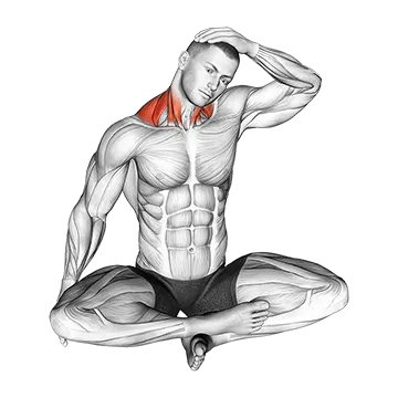 Seated Neck Side Stretch