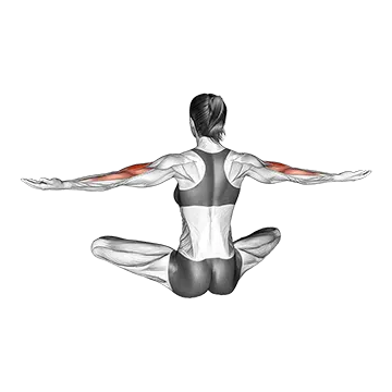 Seated Neck Tap