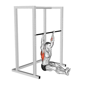 How To Do A Pull Up Seated Pull Up