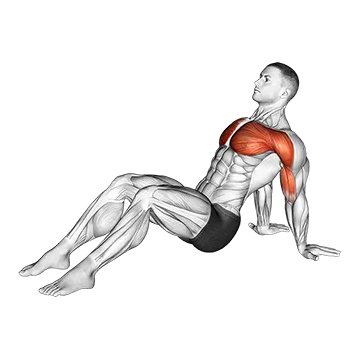 Seated Shoulder Flexor Depresor Retractor Stretch Bent Knee