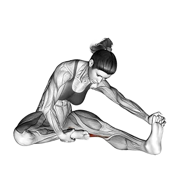 How To Fix Tight Hamstrings Seated Single Leg Hamstring Stretch