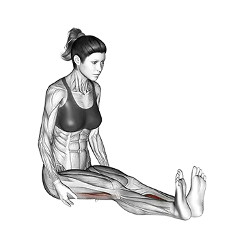 Seated Straight Leg Calf Stretch