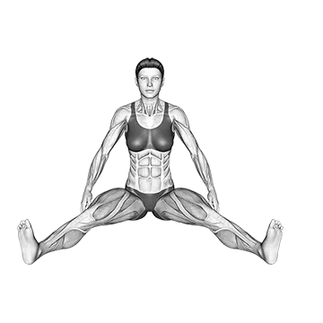 Seated Wide Angle Pose Sequence
