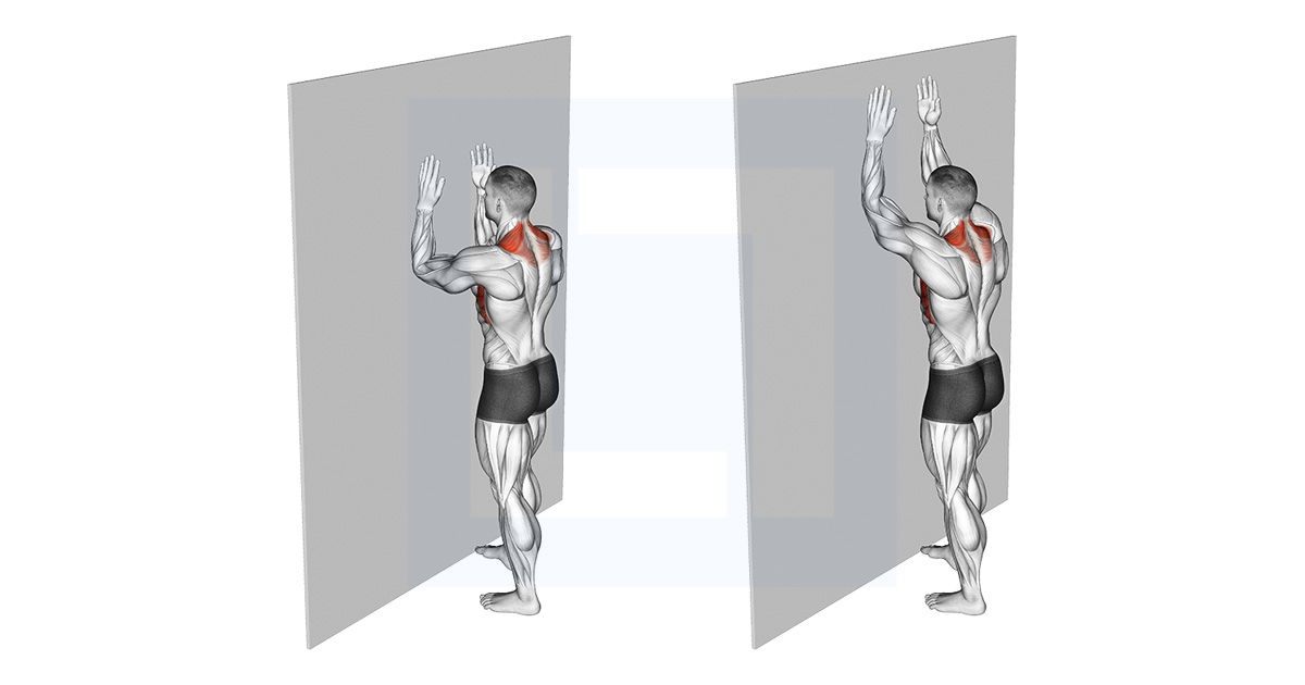 Superman Row Guide Benefits And Form Superman Row Guide Benefits And Form