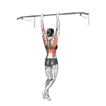 Shoulder Grip Pull Up