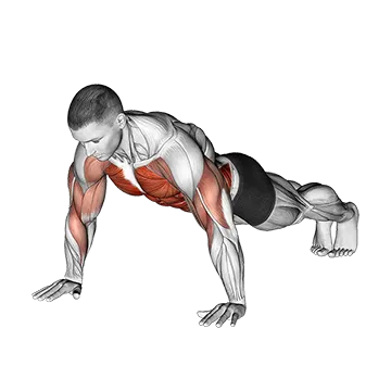 Best Bodyweight Shoulder Workouts Shoulder Tap