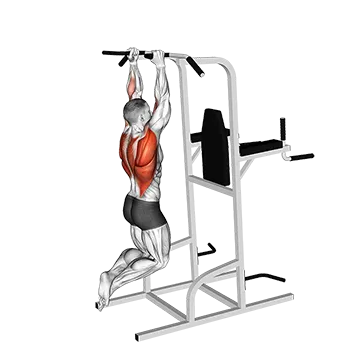 Shoulder Width Neutral Grip Pull Up