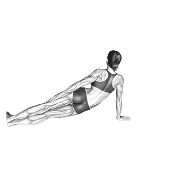 Best Ab Workouts With Weights Side Bend