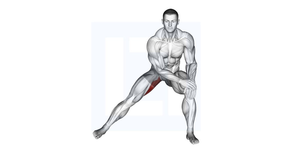 Side Lunge Adductor Stretch