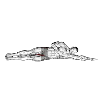 How To Build Bigger Glute Medius Side Lying Leg Raise