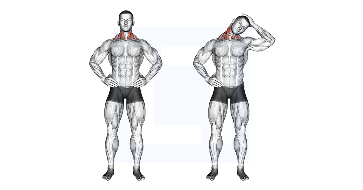 Neck Stretch Diagram