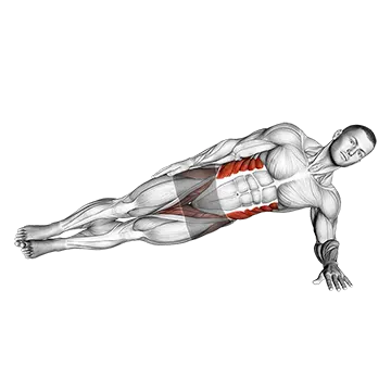Best At Home Core Workouts Side Plank