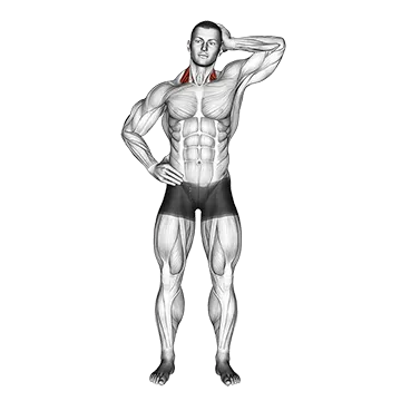 Side Push Neck Stretch