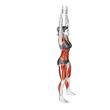Best Hiit Workouts At Home Silent Burpee