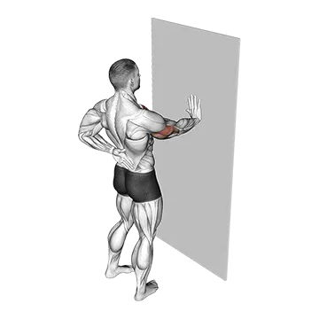 Single Arm Push Up Supported Wall