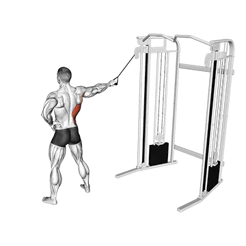 Best Lat Pulldown Variations Single Arm Side Straight Arm Lat Pulldown