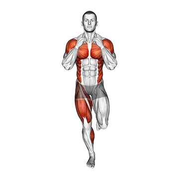Single Leg Balance Cross Punch