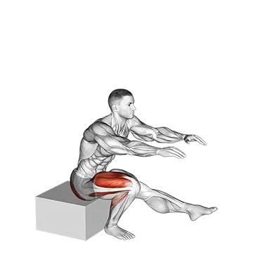 Single Leg Low Box Squat