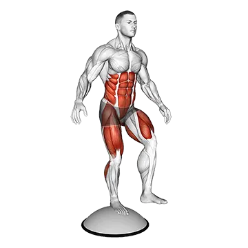 Single Leg Stand on Bosu Ball