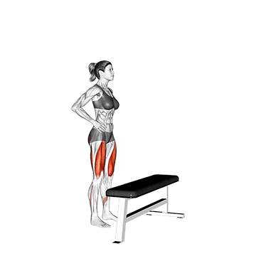 Single Leg Step Up on Bench