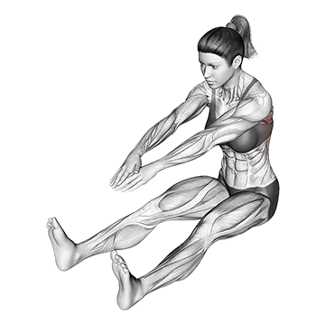 Best Lower Back Stretches Sitting Bent Over Back Stretch