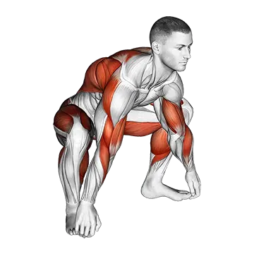 Sitting Sumo Mobility Stretch