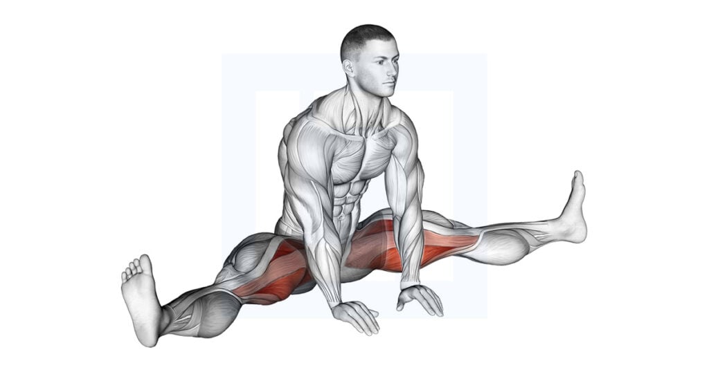 Sitting Wide Leg Adductor Stretch