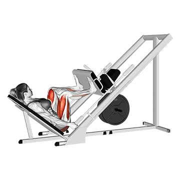 Best Rectus Femoris Exercises Sled 45 Degrees Wide Stance Leg Press