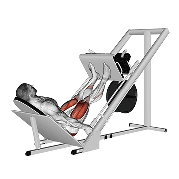 Best Push Pull Legs Routine Sled 45 Leg Press