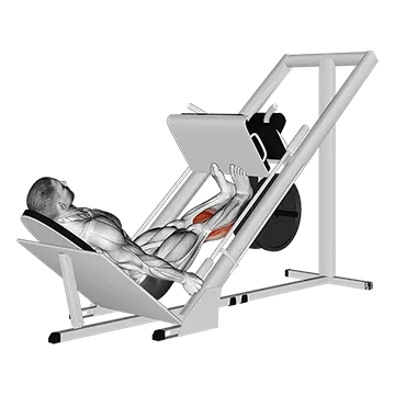How To Build Bigger Calves Sled Calf Press On Leg Press