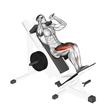 Sled Closer Hack Squat