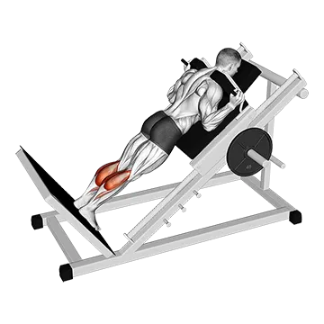 Sled Forward Angled Calf Raise