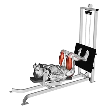 Sled Lying Squat