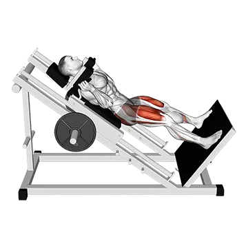 Sled Wide Hack Squat