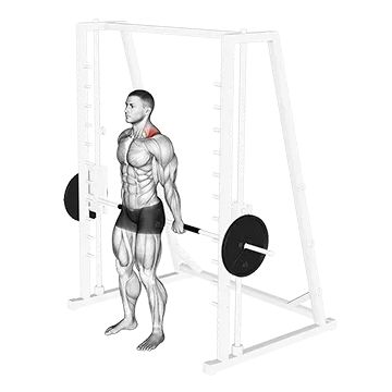 Best Smith Machine Back Workouts Smith Back Shrug