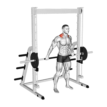 Best Smith Machine Back Workouts Smith Back Wide Shrug