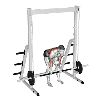 Smith Bent Over Narrow Supinated Grip Row