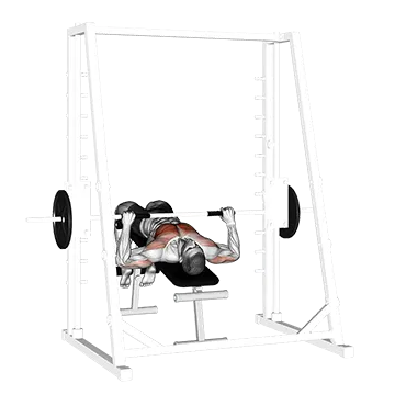 Best Smith Machine Chest Workouts Smith Decline Bench Press