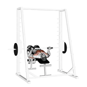 Smith Decline Reverse Grip Press