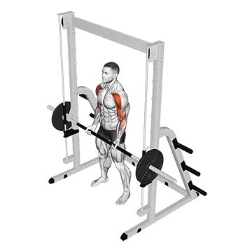Best Machine Bicep Workouts Smith Drag Curl